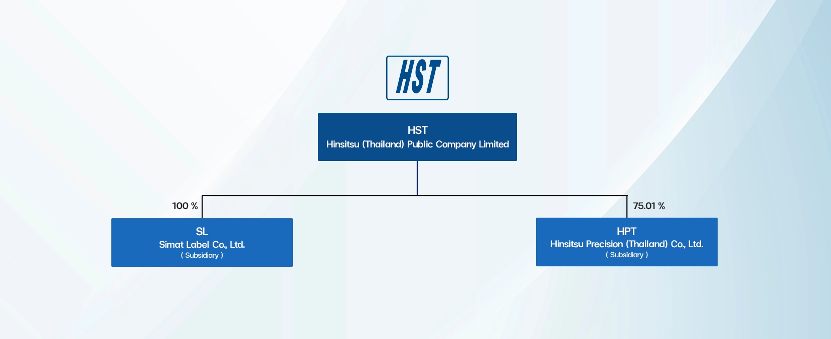 Group Corporate Structure 